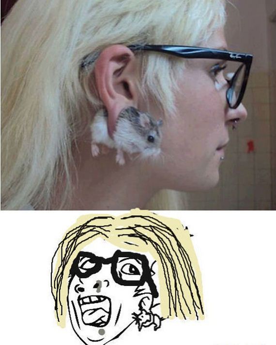 funny-pictures-540