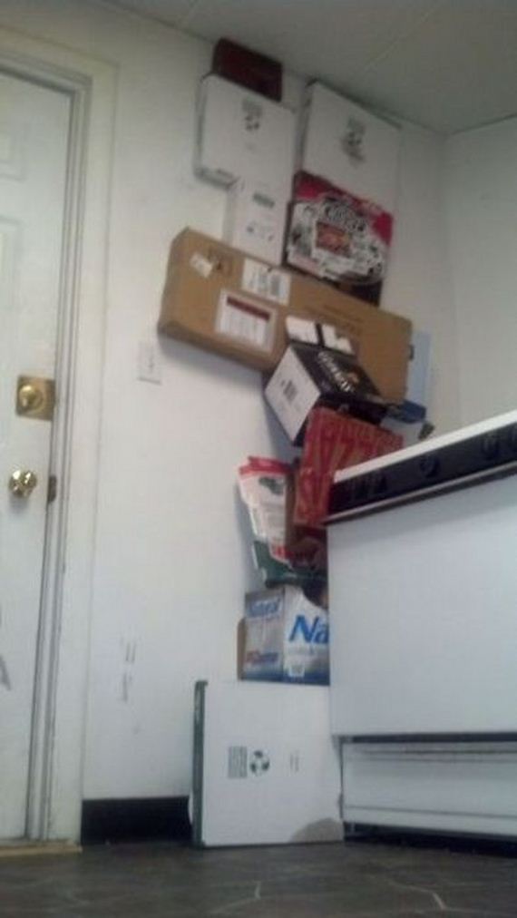 funny-pictures-541