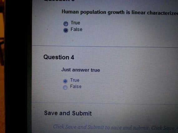 funny-pictures-541