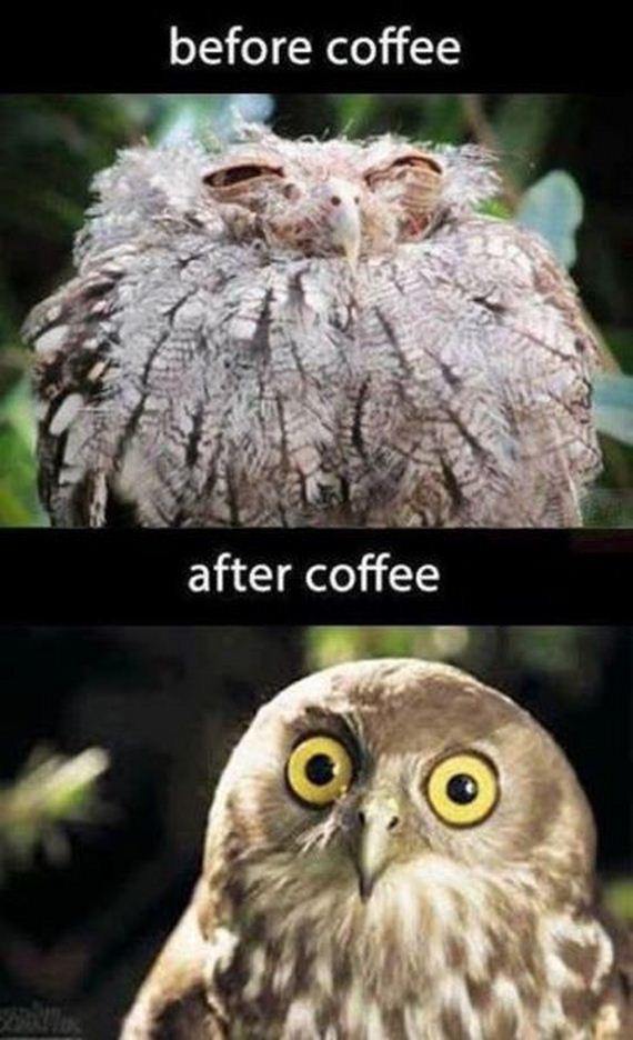 funny-pictures-543