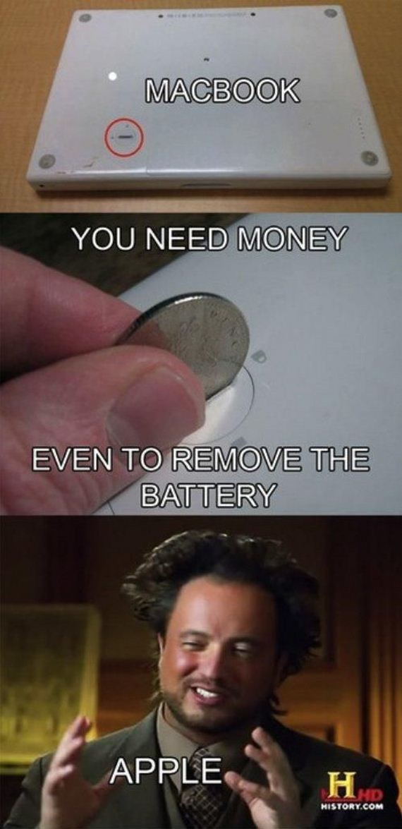 funny-pictures-543