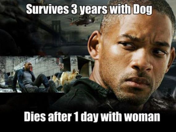 funny-pictures-543