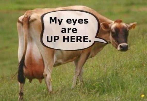 funny-pictures-543