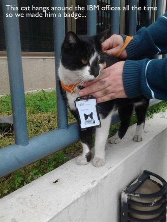 funny-pictures-543