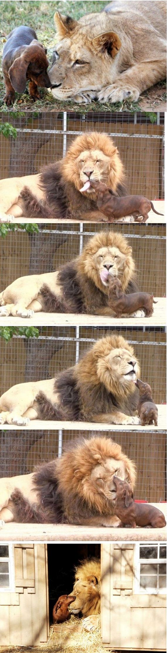 funny-pictures-543