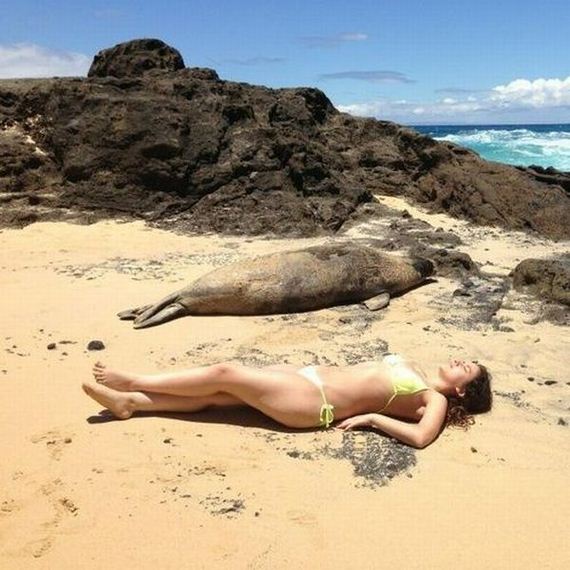 funny-pictures-543