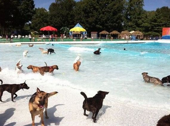 funny-pictures-543