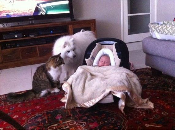 funny-pictures-544