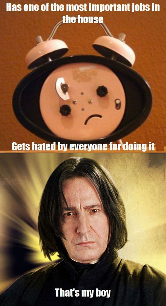 funny-pictures-544