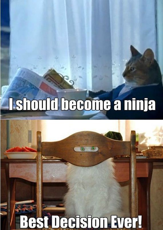 funny-pictures-544