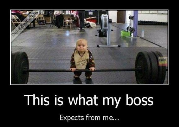 funny-pictures-544