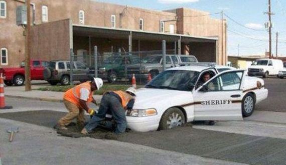 funny-pictures-544