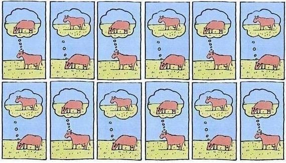 funny-pictures-544