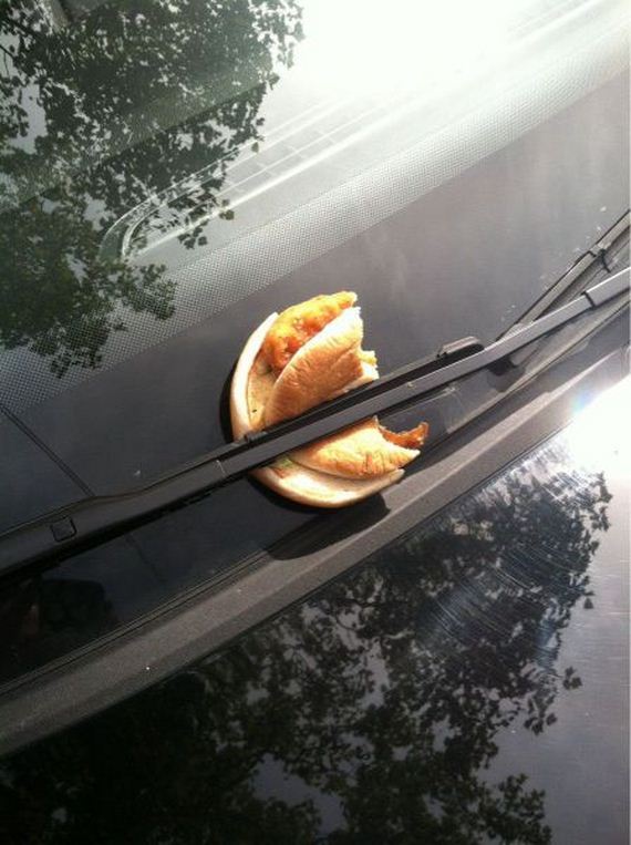 funny-pictures-544