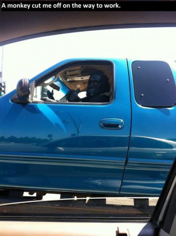 funny-pictures-544