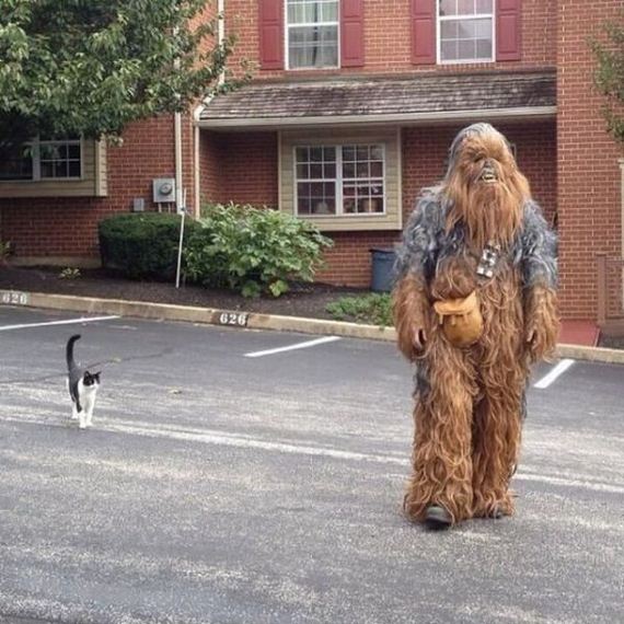 funny-pictures-544