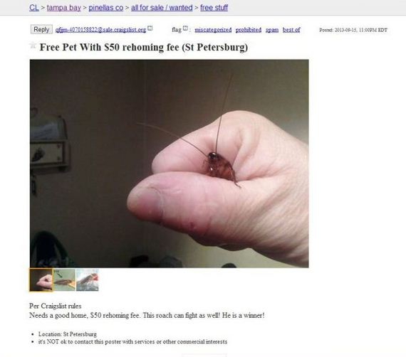 funny-pictures-544