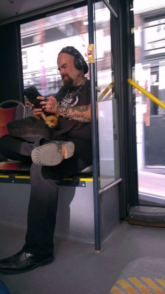 funny-pictures-544