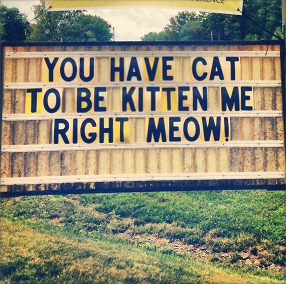 funny-pictures-544