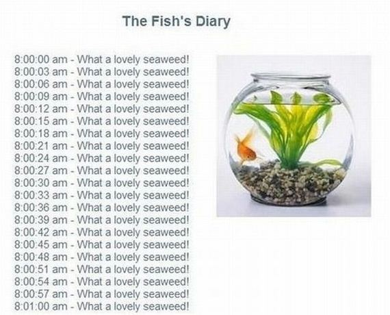 funny-pictures-545