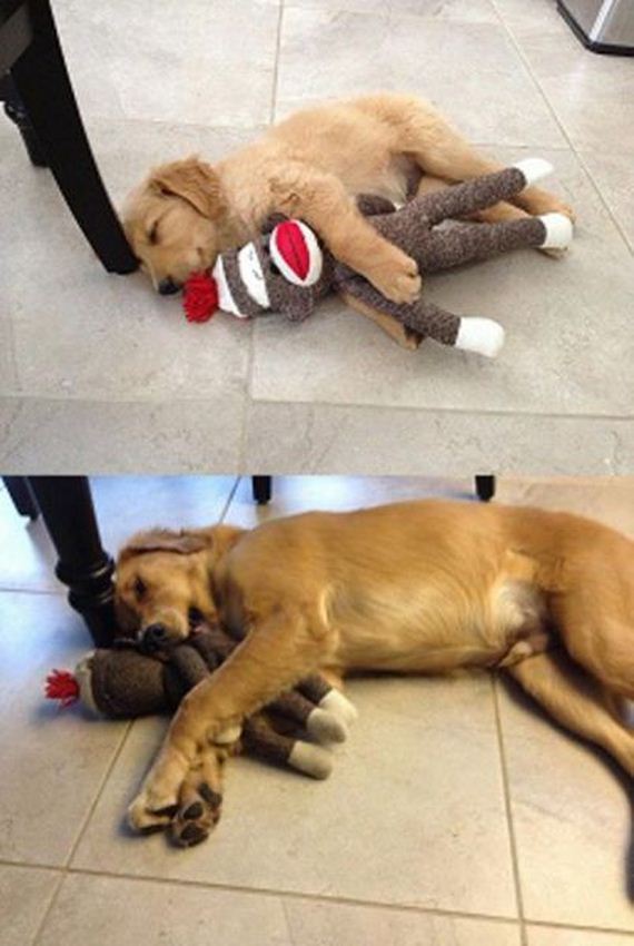 funny-pictures-545