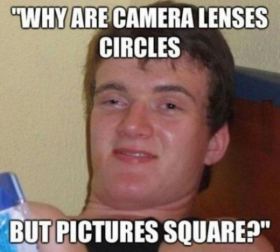 funny-pictures-546