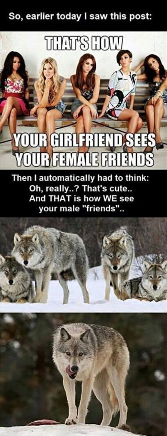 funny-pictures-546