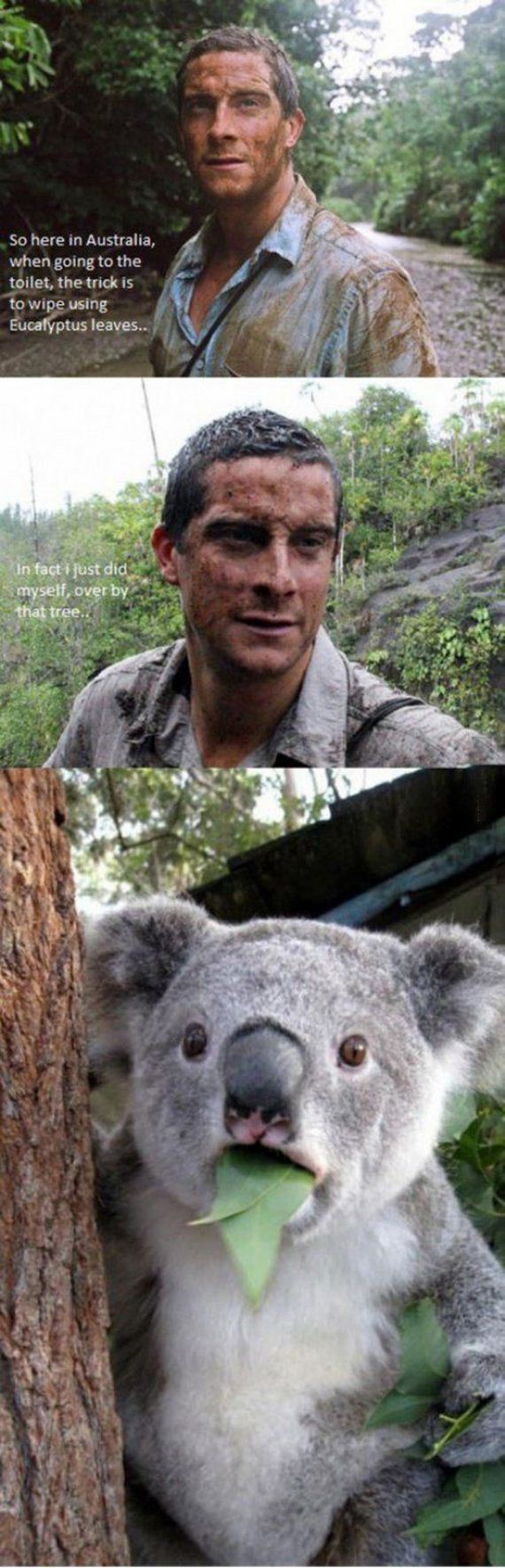 funny-pictures-546