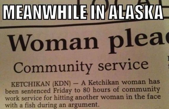 funny-pictures-546