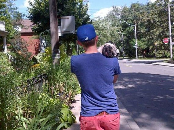 funny-pictures-546