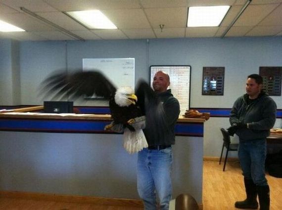 funny-pictures-546