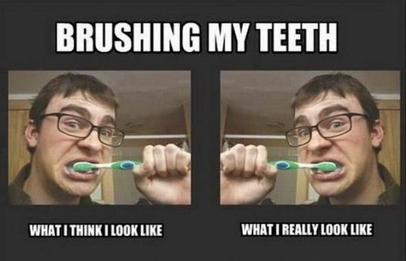funny-pictures-546
