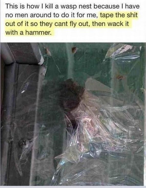 funny-pictures-546