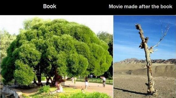 funny-pictures-547