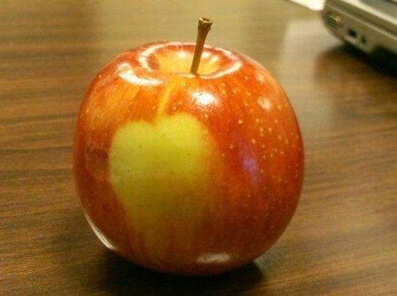 funny-pictures-547