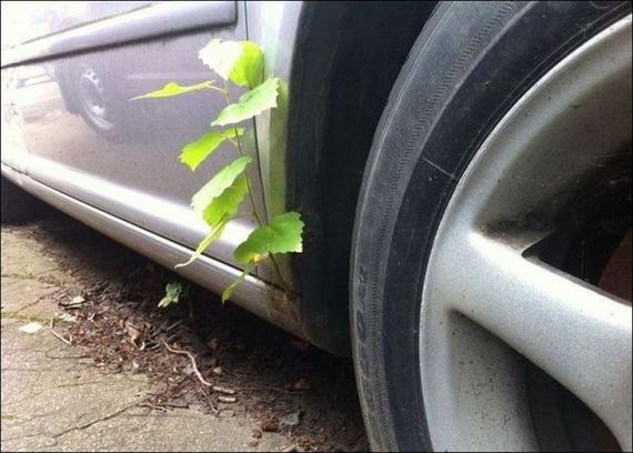 funny-pictures-548
