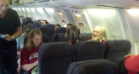 funny-pictures-548