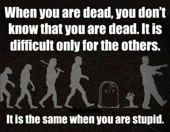 funny-pictures-548