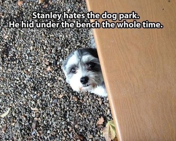 funny-pictures-549
