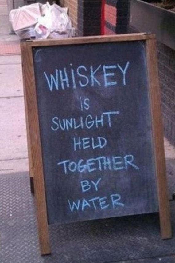 funny-pictures-549