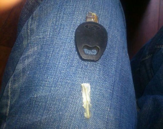 funny-pictures-550