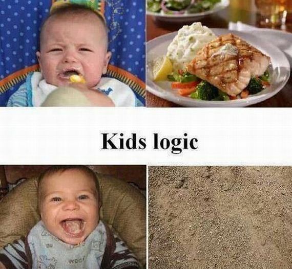 funny-pictures-550