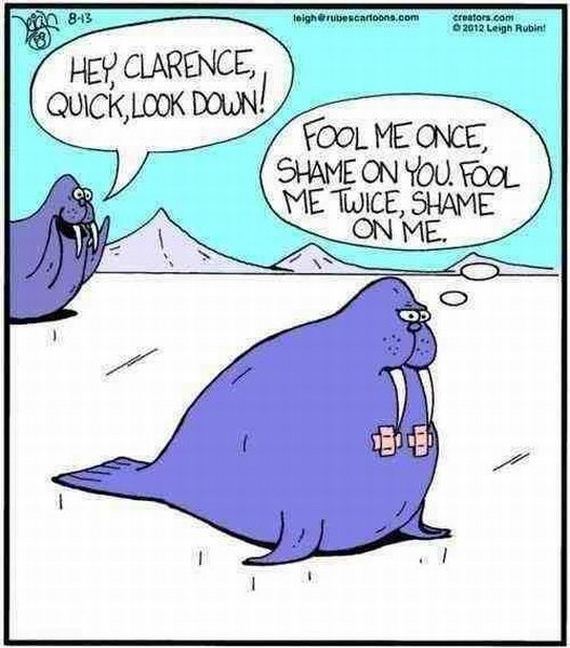 funny-pictures-550