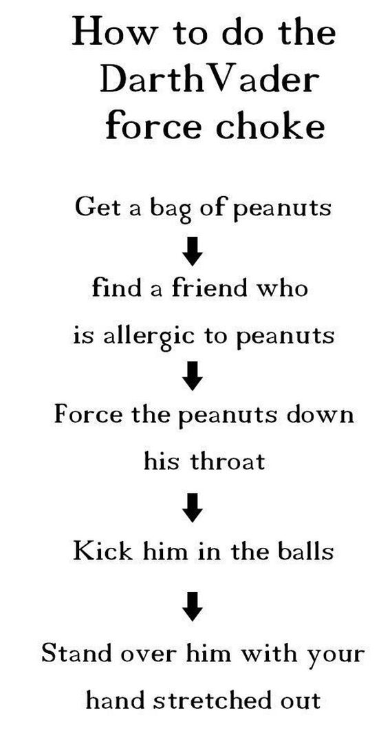 funny-pictures-550