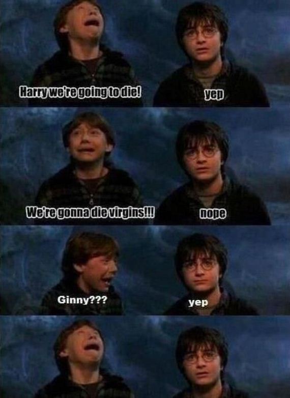 funny-pictures-550