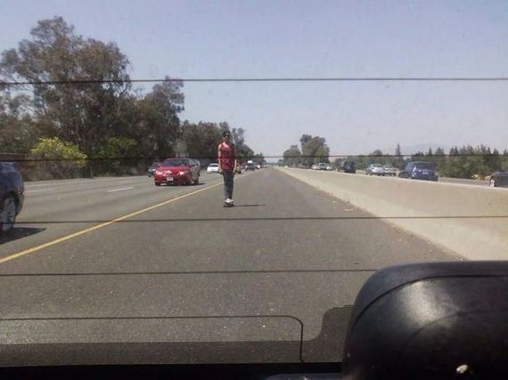 funny-pictures-550