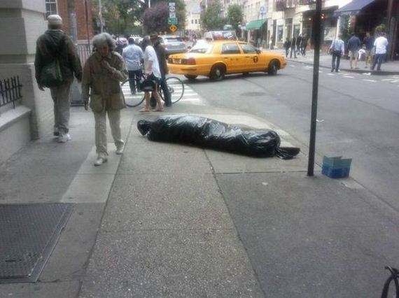 funny-pictures-550