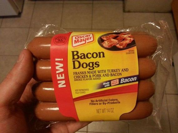 funny-pictures-550