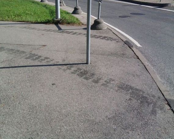 funny-pictures-550