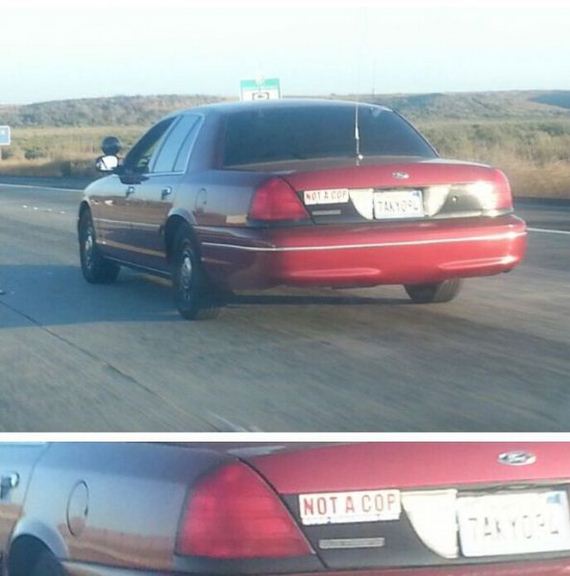 funny-pictures-550